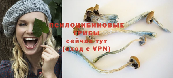 экстази Краснослободск