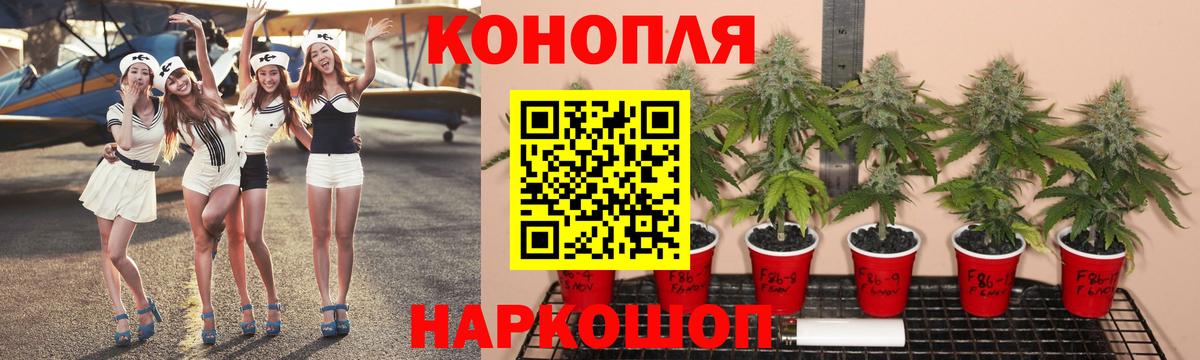 Каннабис White Widow  МАРИХУАНА конопля  МАРИХУАНА SATIVA & INDICA  Красноармейск 